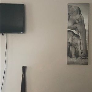 Elephant Portrait
